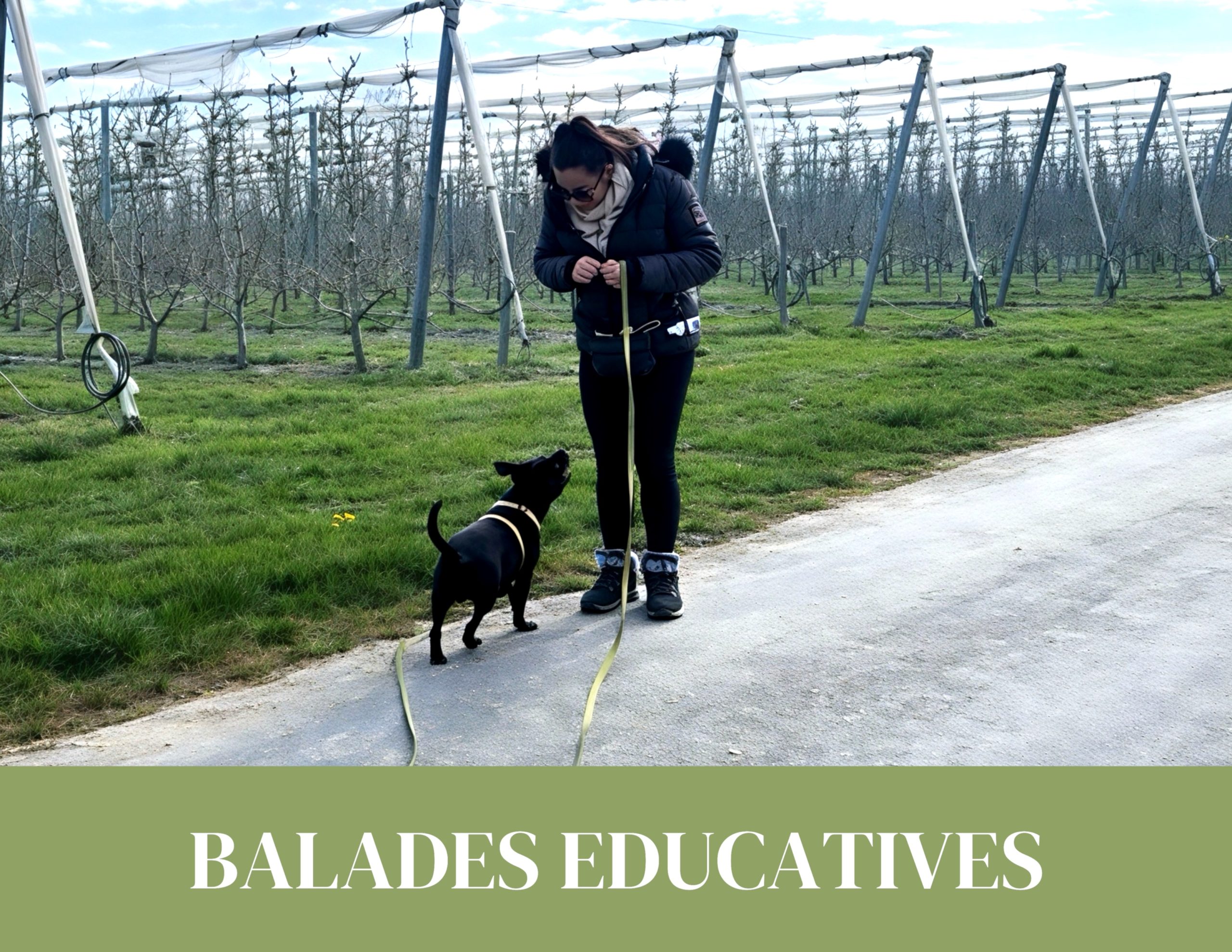 balade éducative individuelle pour chien entre Terre Sainte et Nyon travail du comportement en extérieur avec éducateur