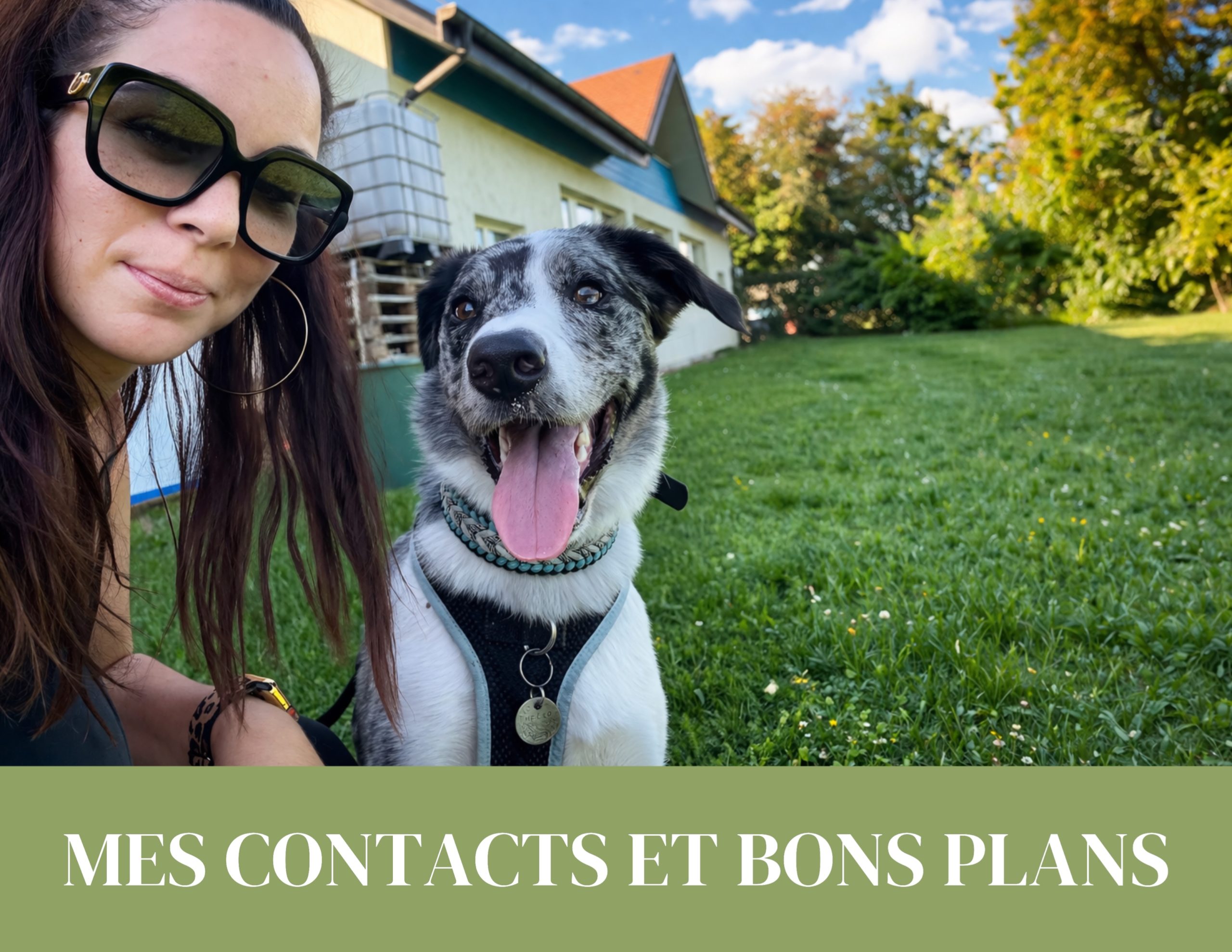 contact éducateur canin à Nyon et Allaman conseils et accompagnement pour chien et chiot