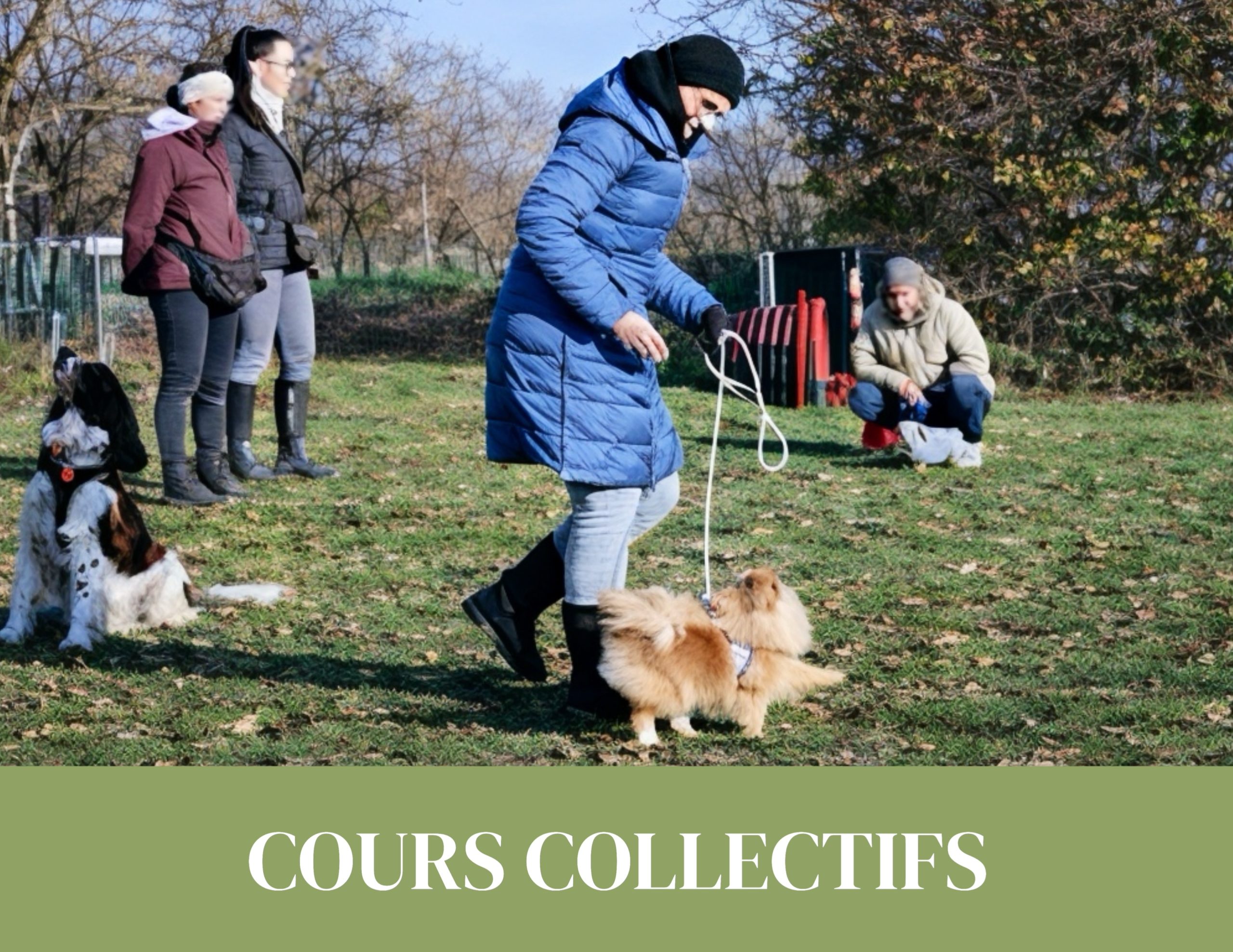 cours collectifs pour chiens à Allaman pour améliorer l’obéissance et la socialisation en extérieur