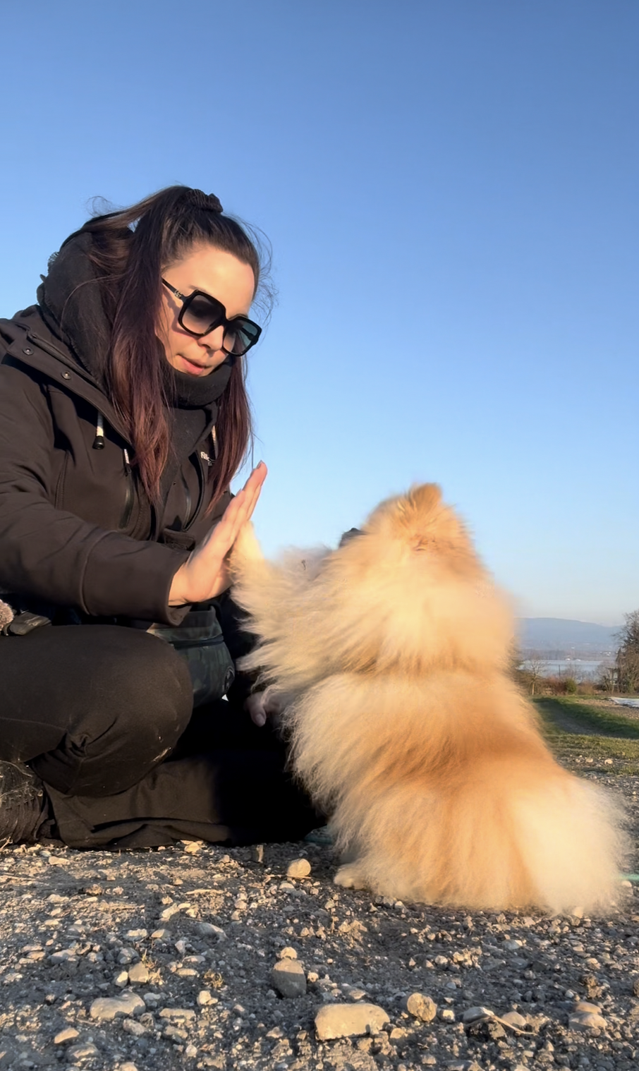 Travail de collaboration lors d’un cours privé Exercice d’éducation canine basé sur la collaboration entre le chien et son propriétaire lors d’un cours privé