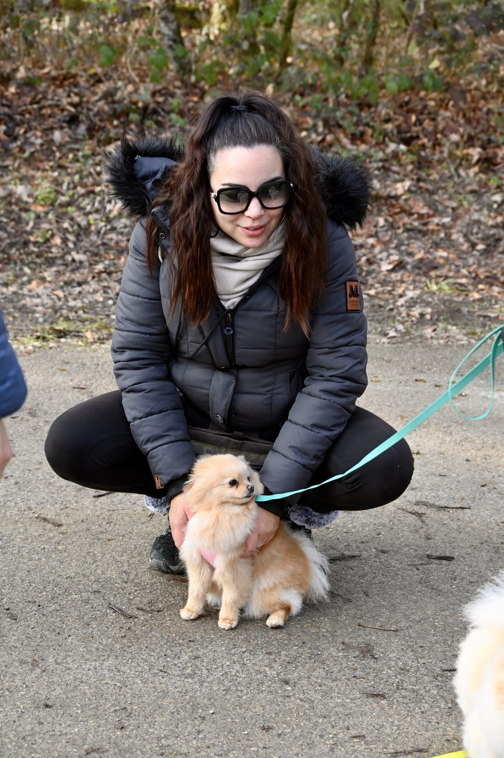 Accompagnement chiot en éducation canine Éducatrice canine accompagnant un chiot en séance individuelle en extérieur
