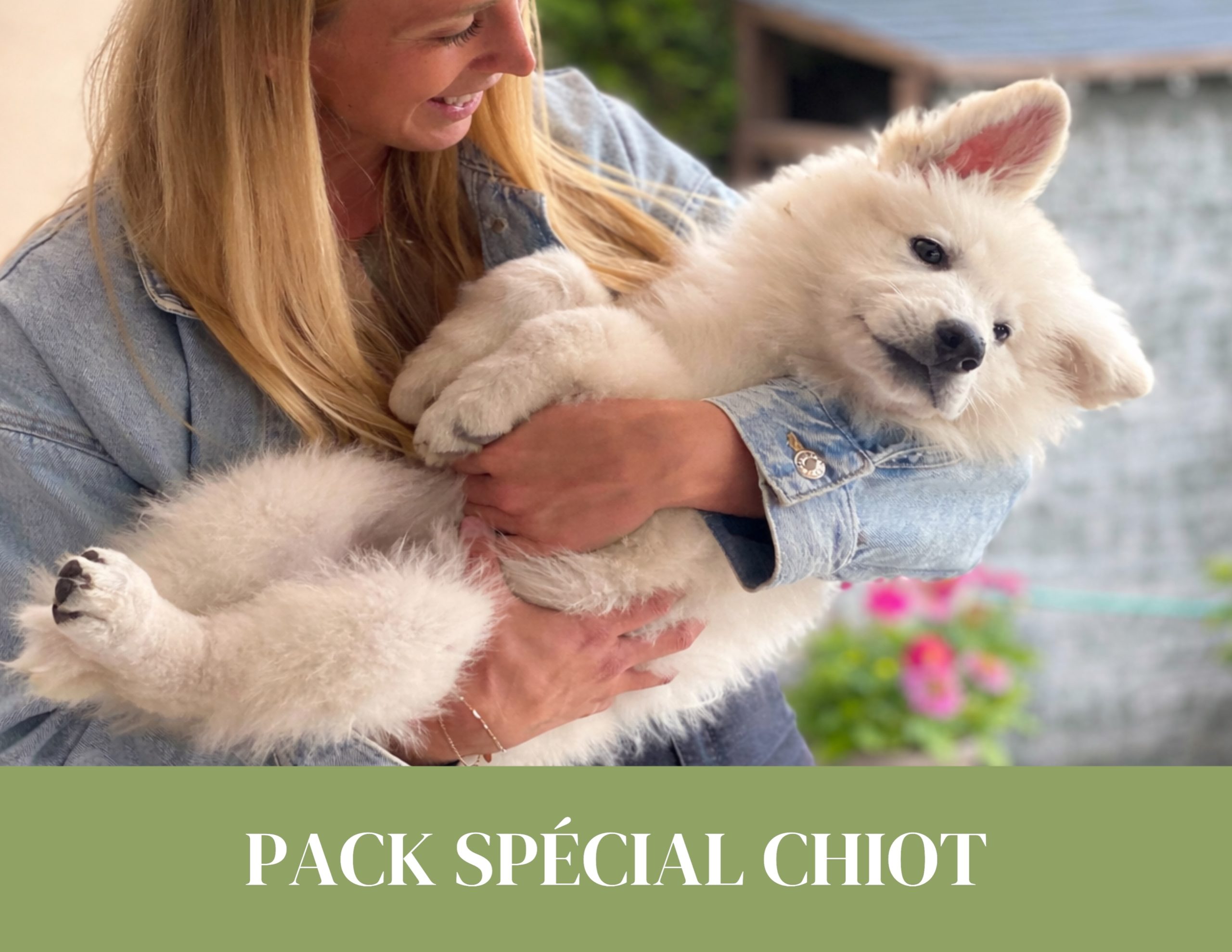 pack chiot avec éducation socialisation et apprentissage de la propreté entre Allaman et Céligny