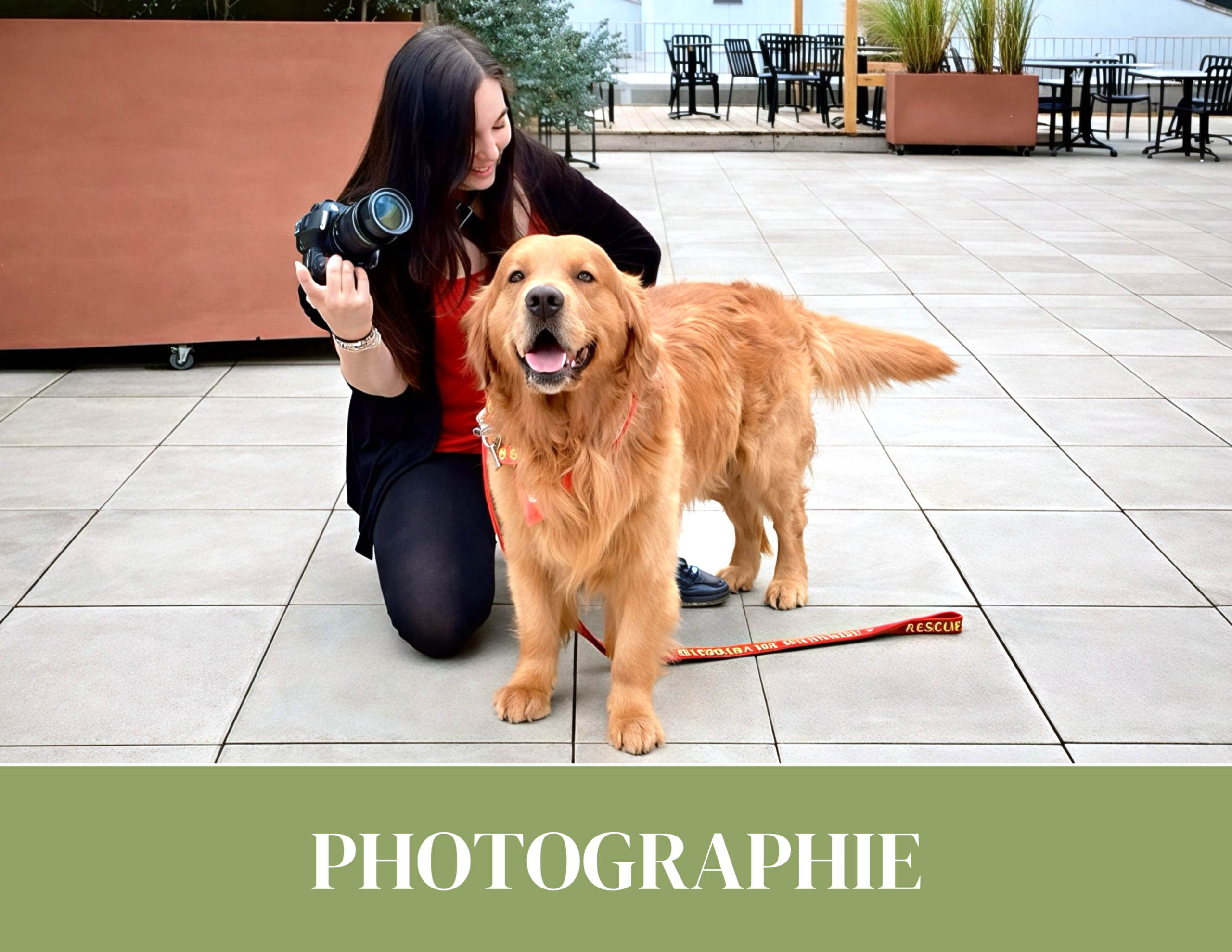photographe chien à Nyon et Allaman shooting photo chien portrait canin professionnel en extérieur