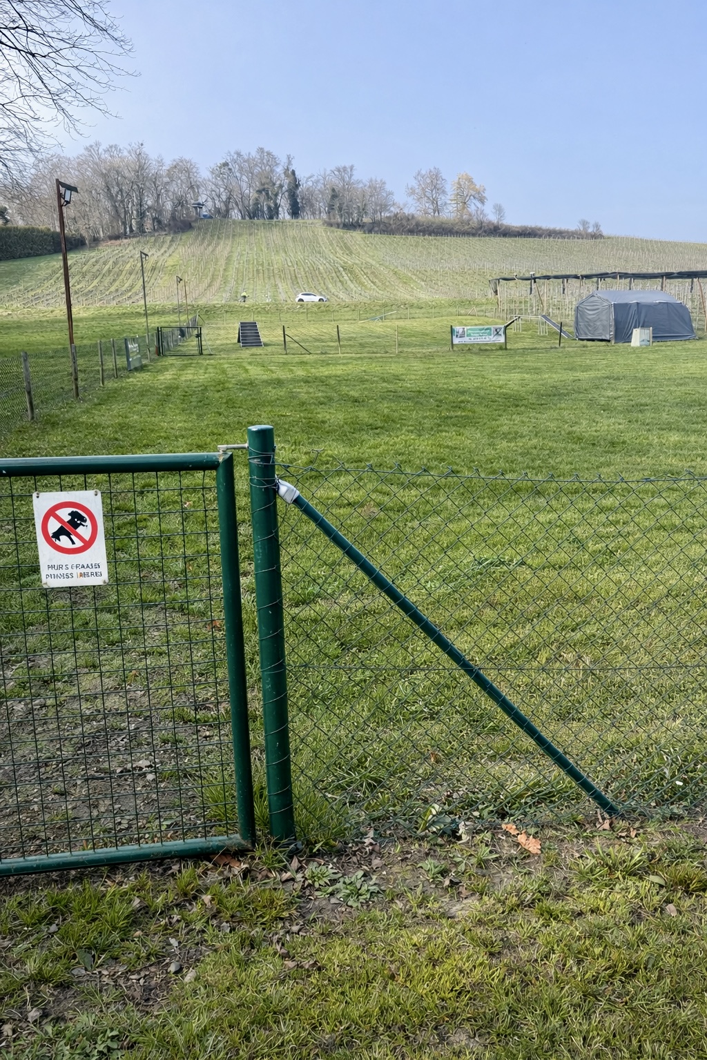 terrain éducation canine à Allaman sur la Côte lémanique cours et activités pour chien en extérieur
